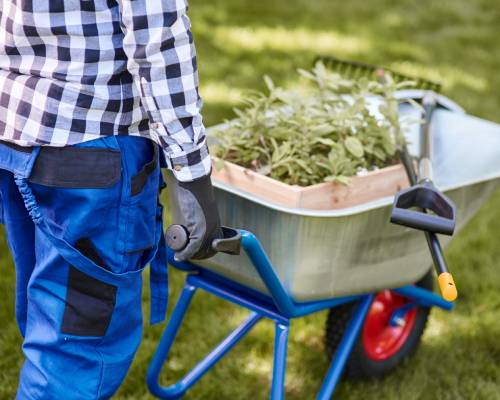 Lawn Maintenance in Dubai